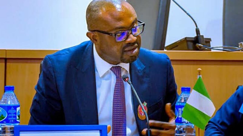 Nigéria : Vers une rigueur accrue sur les visas pour renforcer la sécurité nationale