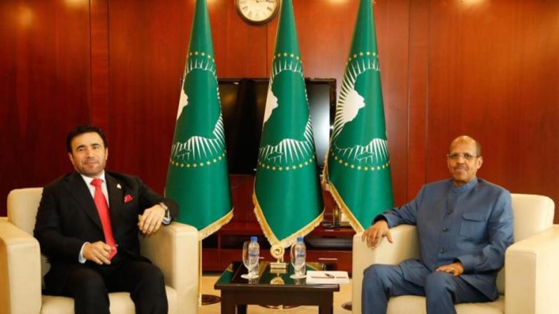 Afrique : Union africaine et Interpol unissent leurs forces contre la criminalité transnationale