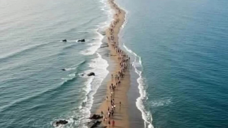 Corée du Sud : le miracle de Jindo, quand la mer s’ouvre deux fois par an