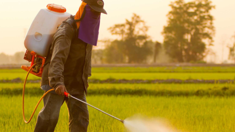 Afrique : Pesticides cancérogènes, quand l’Europe continue d’inonder le continent noir.