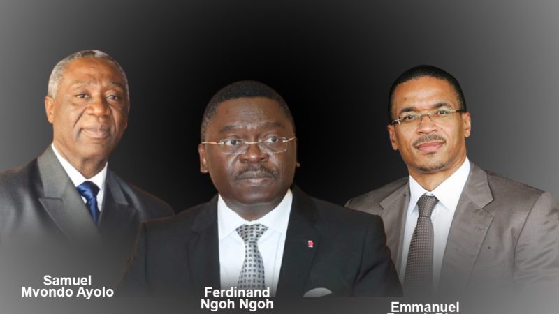 Cameroun : À la croisée des défis, le rôle clé des équipes présidentielles dans la stabilité nationale.