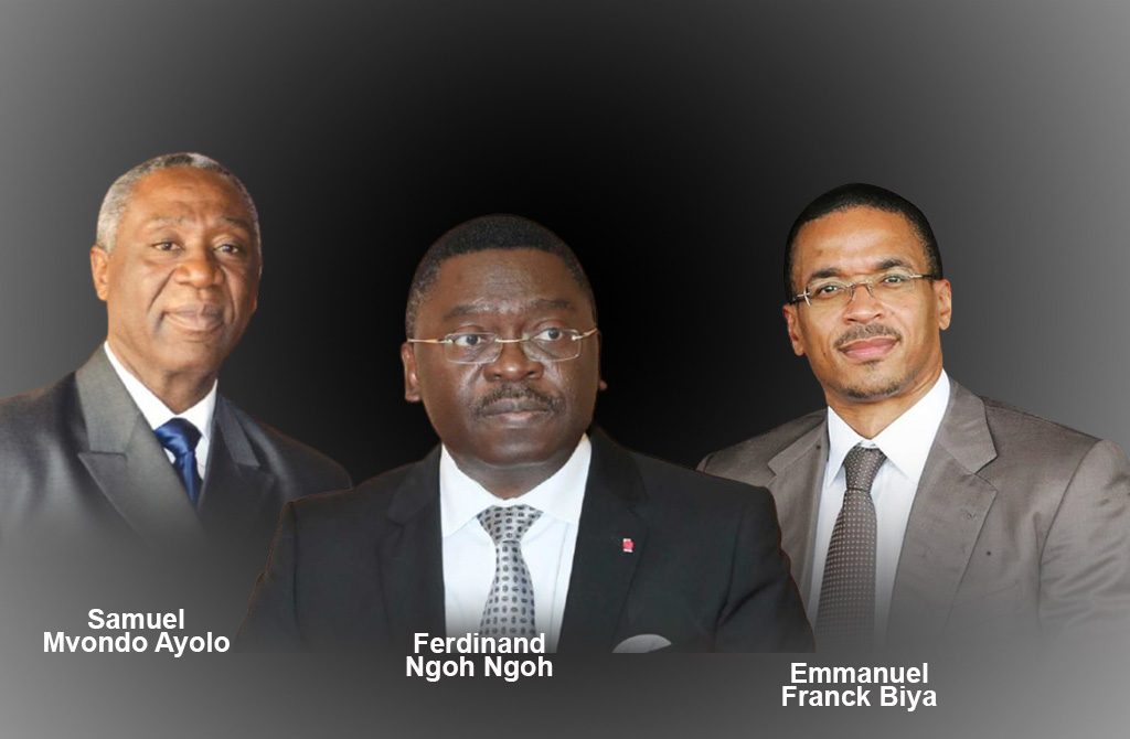 Cameroun : À la croisée des défis, le rôle clé des équipes présidentielles dans la stabilité nationale.