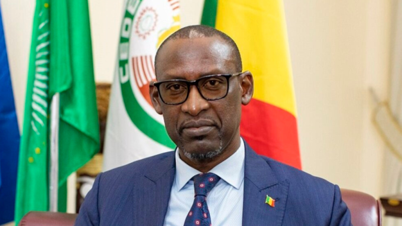 Mali : La ferme mise au point du Ministre Abdoulaye Diop face à la désinformation occidentale