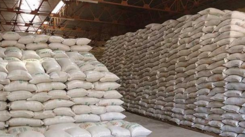 Burkina Faso : Succès agricole fulgurant, plus de  530 000 tonnes de céréales pour la sécurité alimentaire en fin 2025.