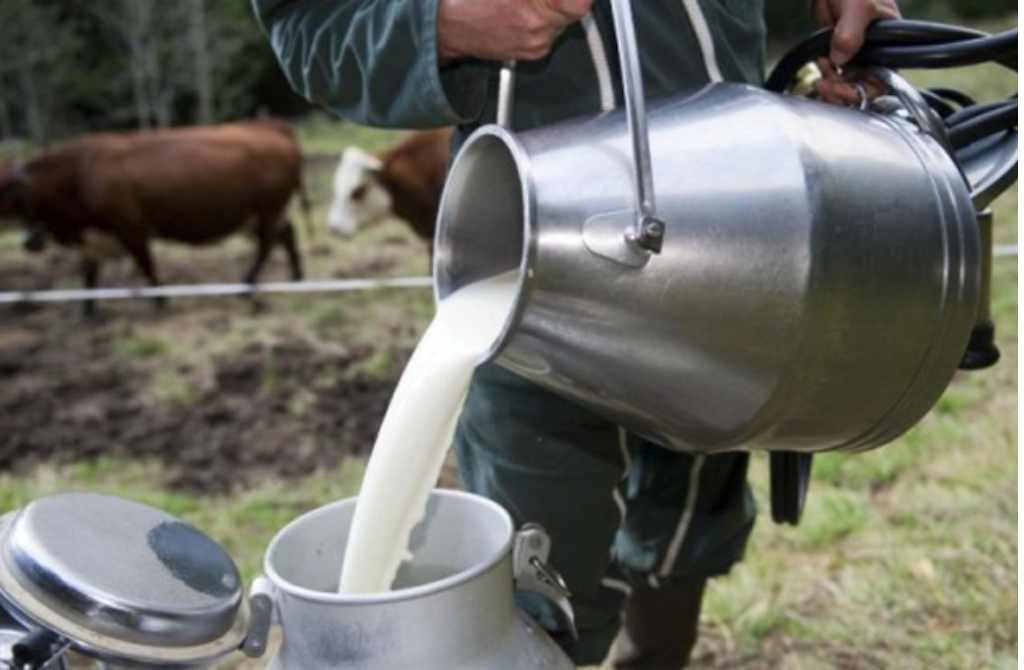 Sénégal / Autosuffisance laitière :  Dakar mise sur l&rsquo;expertise brésilienne pour muscler sa production.