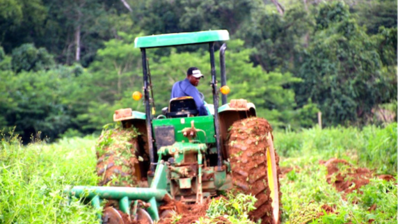 Togo : Vers une base de données fiable pour structurer les filières agricoles