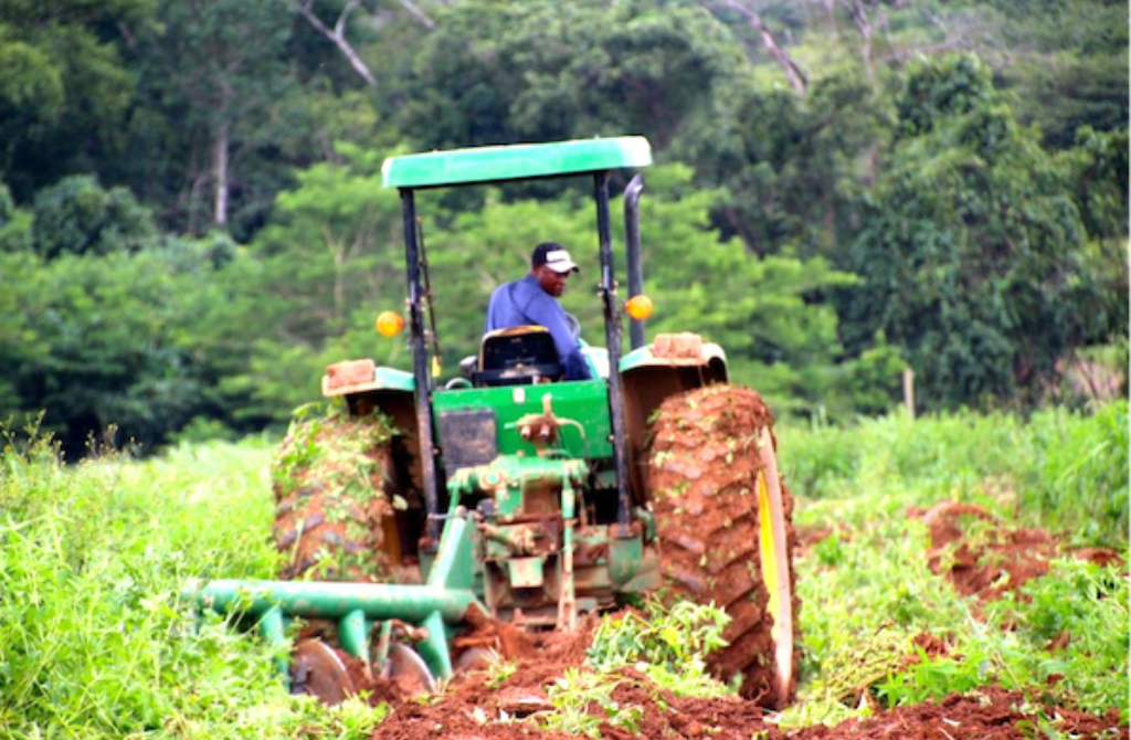 Togo : Vers une base de données fiable pour structurer les filières agricoles