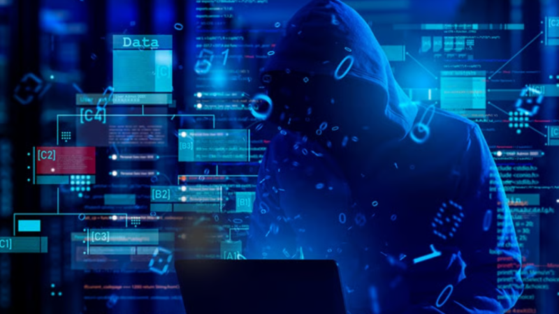 Afrique / Cybercriminalité : Interpol démantèle des réseaux et arrête 651 personnes lors de l&rsquo;opération Red Card 2.0