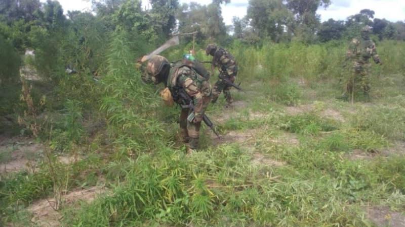 Sénégal : Affrontement meurtrier à Kadialock entre militaires et narco-trafiquants armés