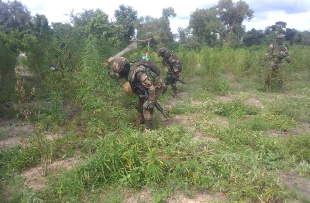 Sénégal : Affrontement meurtrier à Kadialock entre militaires et narco-trafiquants armés