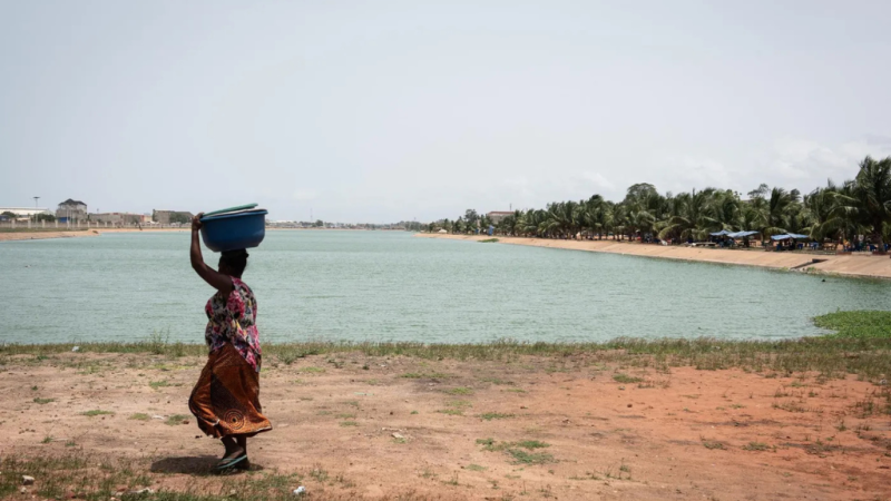 Togo / Biodiversité aquatique : Lomé accueille quinze pays africains pour harmoniser la protection des océans et fleuves