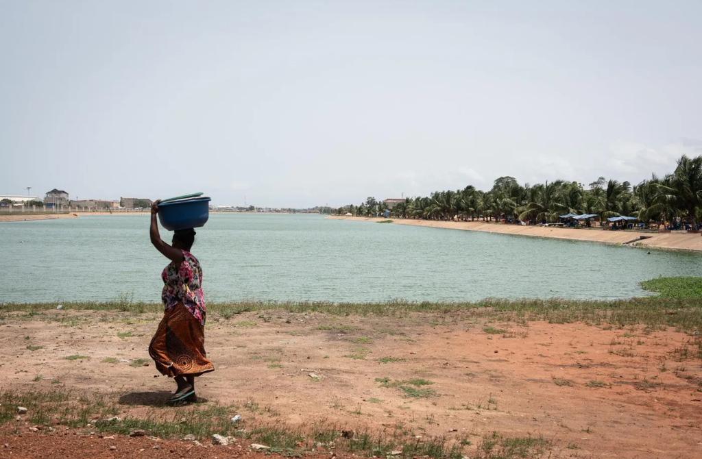 Togo / Biodiversité aquatique : Lomé accueille quinze pays africains pour harmoniser la protection des océans et fleuves