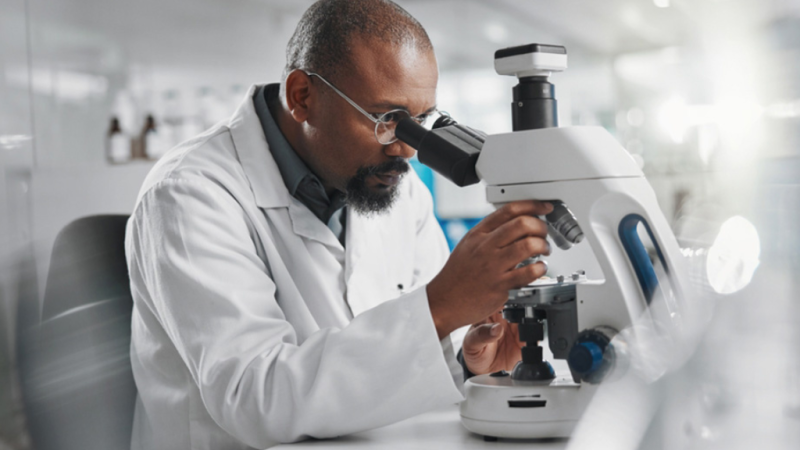 Togo : Vers une politique de recherche et d’innovation plus adaptée aux défis actuels