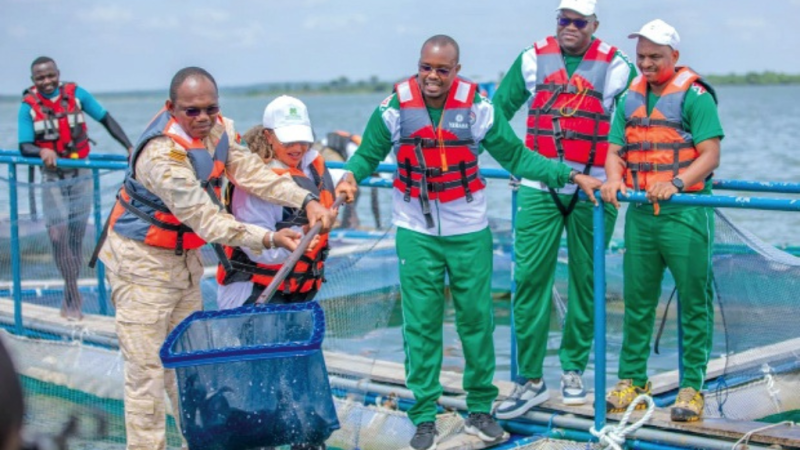 Burkina Faso : La production halieutique, un pilier émergent de l’offensive pour l’autosuffisance alimentaire