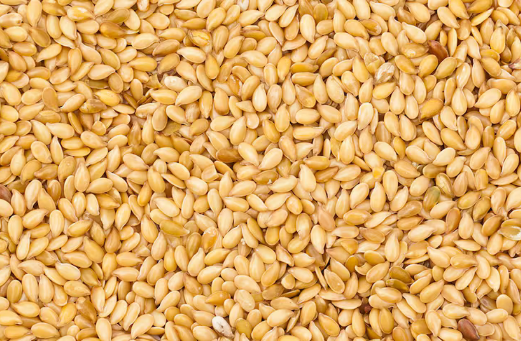 Burkina Faso : 376 945 tonnes de sésame, quand l&rsquo;agriculture burkinabè pulvérise tous les records